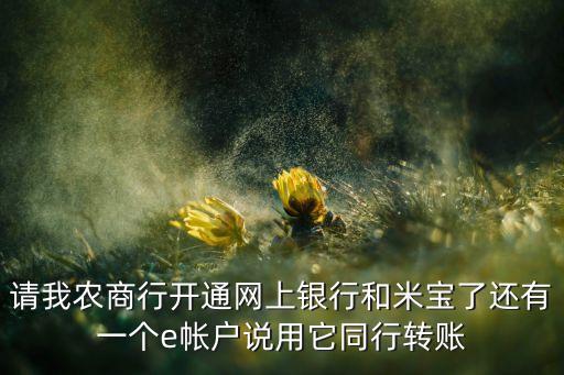 請我農(nóng)商行開通網(wǎng)上銀行和米寶了還有一個e帳戶說用它同行轉(zhuǎn)賬