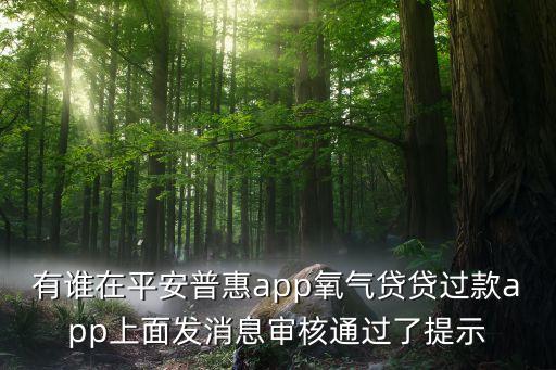 有誰在平安普惠app氧氣貸貸過款app上面發(fā)消息審核通過了提示