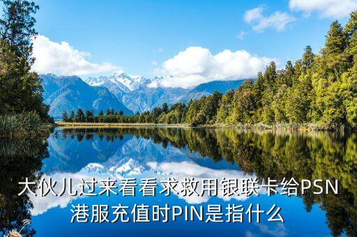 銀聯(lián)支付pin是什么，apple pay的銀聯(lián)pin碼是什么
