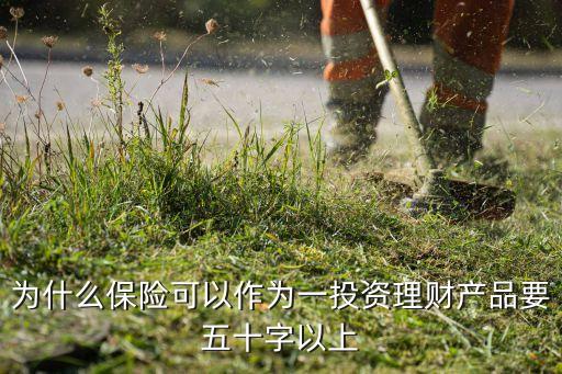 為什么保險(xiǎn)可以作為一投資理財(cái)產(chǎn)品要五十字以上