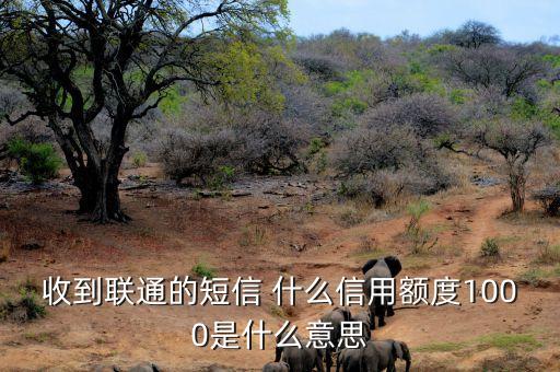 信用卡額度1000指什么，支付寶信用額度1000是什么意思