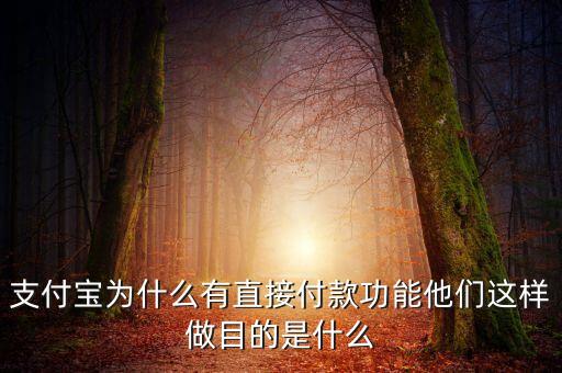 支付寶為什么有直接付款功能他們這樣做目的是什么