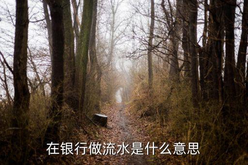 在銀行做流水是什么意思