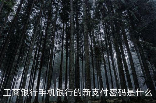 工商銀行手機(jī)銀行的新支付密碼是什么