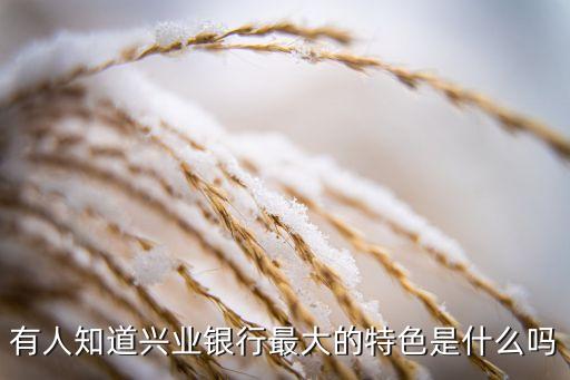 有人知道興業(yè)銀行最大的特色是什么嗎