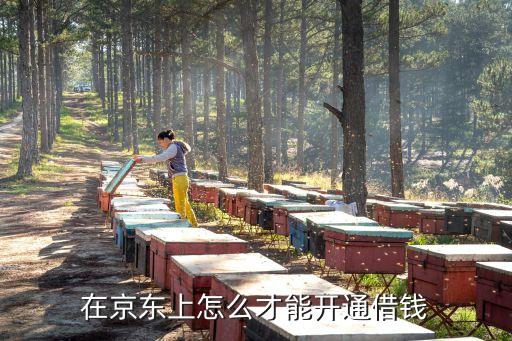 在京東上怎么才能開通借錢
