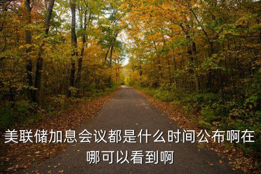 美聯(lián)儲(chǔ)加息會(huì)議都是什么時(shí)間公布啊在哪可以看到啊
