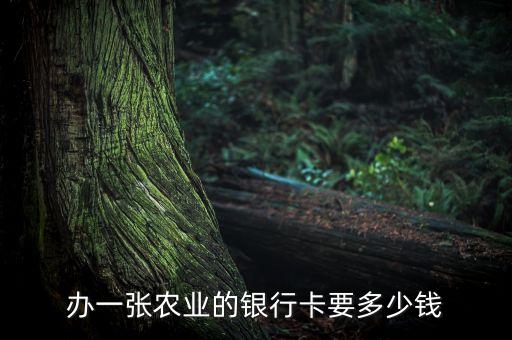 辦一張農(nóng)業(yè)的銀行卡要多少錢