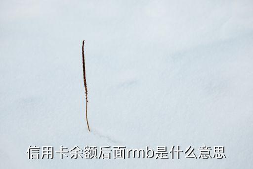 信用卡里磚是什么意思，銀行認磚頭是什么意思