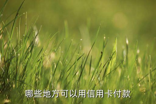買什么才能使用信用卡支付，哪些地方可以用信用卡付款