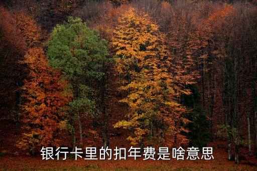 銀行卡里的扣年費(fèi)是啥意思