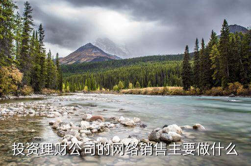 投資理財公司的網(wǎng)絡銷售主要做什么