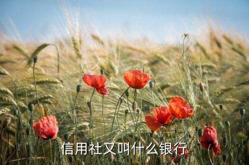信用社又叫什么銀行