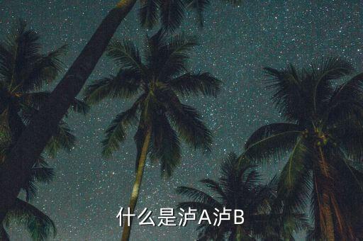 瀘a股票是什么意思，瀘市A股是什么意思