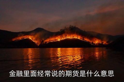 金融里面經(jīng)常說的期貨是什么意思
