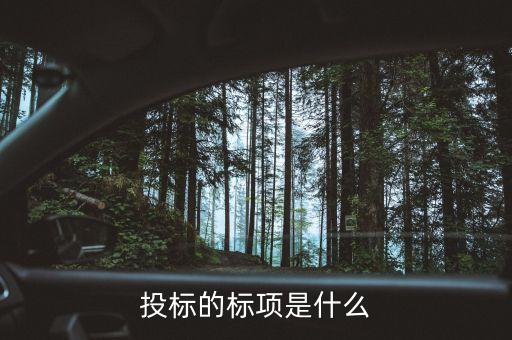 投標的標項是什么