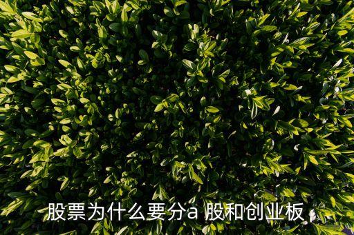 股票為什么要分a 股和創(chuàng)業(yè)板