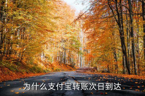 為什么我的手機(jī)支付寶提現(xiàn)是次日到賬，支付寶提現(xiàn)為什么是第二天到賬