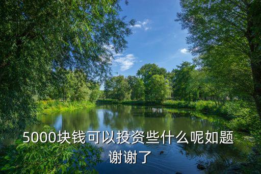 5000塊錢可以投資些什么呢如題 謝謝了