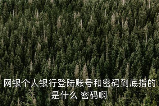 網(wǎng)銀個人銀行登陸賬號和密碼到底指的是什么 密碼啊