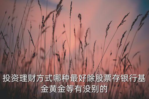 投資理財方式哪種最好除股票存銀行基金黃金等有沒別的