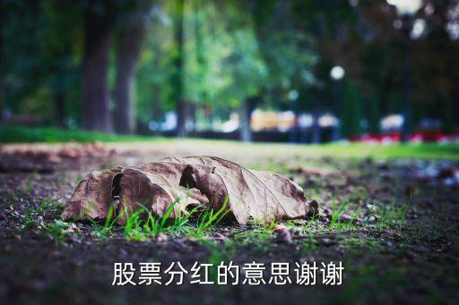什么是股票分紅，什么叫股票的分紅要買多少才能分