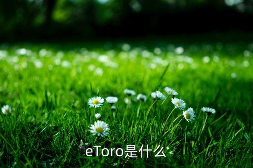 eToro是什么