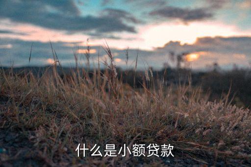 通刷的小額貸款是什么意思，什么是小額貸款什么是大額貸款