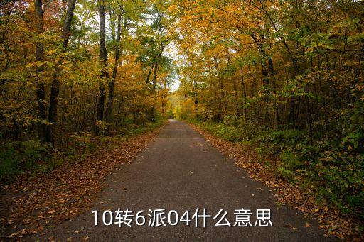 轉(zhuǎn)銷售為持有什么意思，10轉(zhuǎn)6派04什么意思