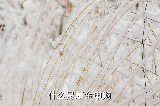 什么是基金申購