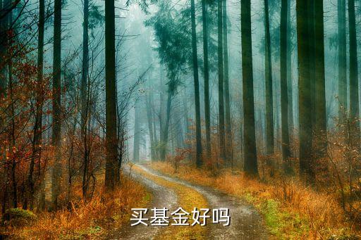 買基金好嗎