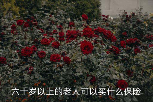 60歲老人可以買什么保險(xiǎn)，六十歲老人買什么保險(xiǎn)