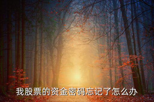 我股票的資金密碼忘記了怎么辦