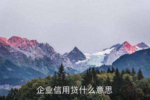 企業(yè)貸是什么意思，企業(yè)信用貸什么意思