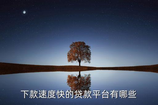 下款速度快的貸款平臺有哪些