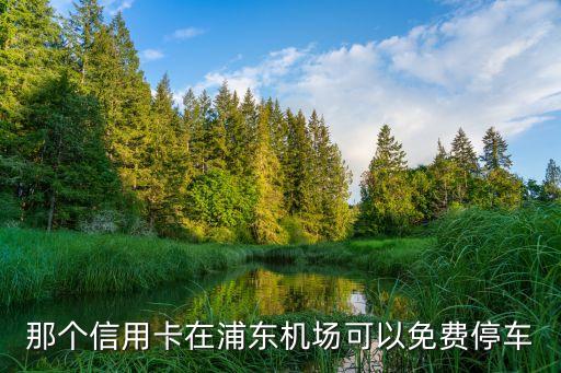 那個(gè)信用卡在浦東機(jī)場(chǎng)可以免費(fèi)停車