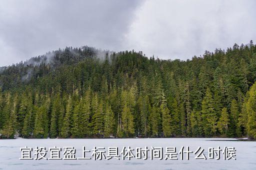 宜投宜盈上標具體時間是什么時候