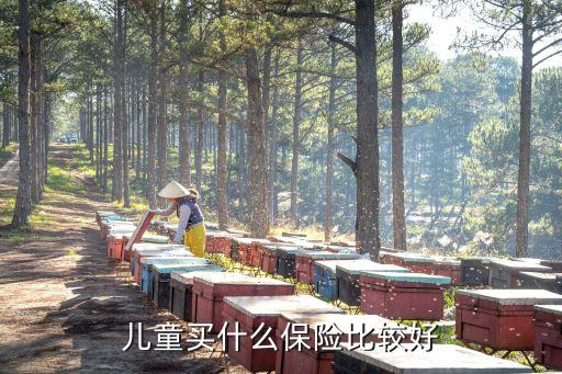 兒童什么保險(xiǎn)值得買，給兒童買什么保險(xiǎn)合適