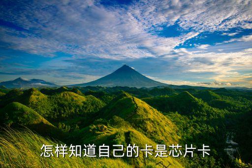 芯片卡什么樣子的，長(zhǎng)春公交IC卡張什么樣子