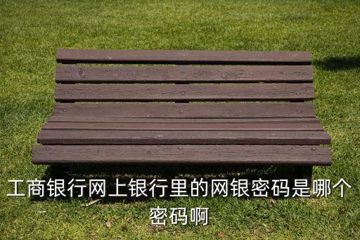 工行的網(wǎng)銀密碼是什么，中國(guó)工商銀行個(gè)人網(wǎng)銀登錄密碼是什么