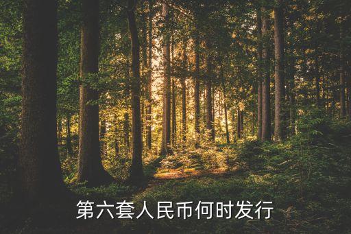 第六套人民幣什么時候出，第六套人民幣何時發(fā)行