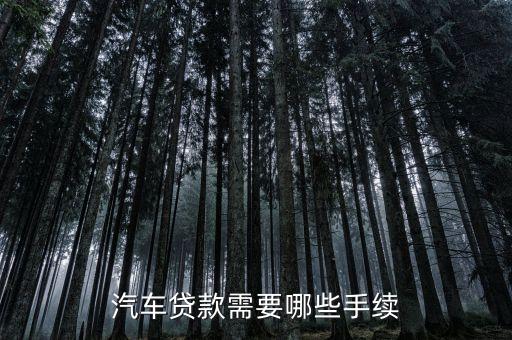 汽車貸款需要哪些手續(xù)