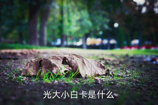 光大小白卡是什么