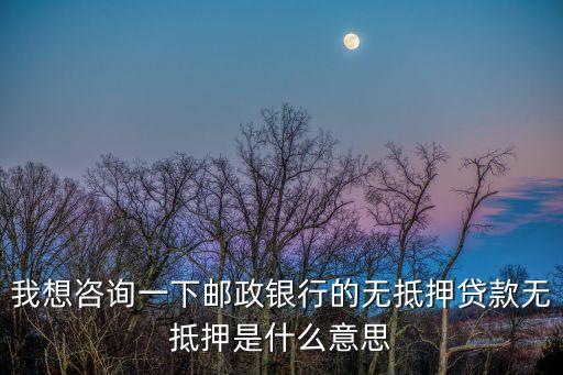 我想咨詢一下郵政銀行的無(wú)抵押貸款無(wú)抵押是什么意思