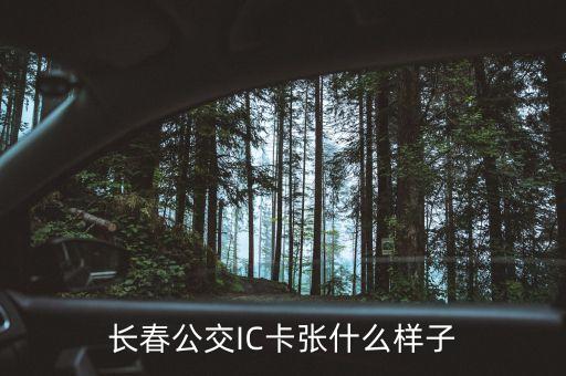 長(zhǎng)春公交IC卡張什么樣子
