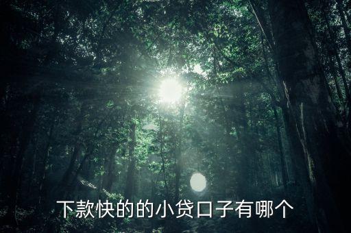 下款快的的小貸口子有哪個