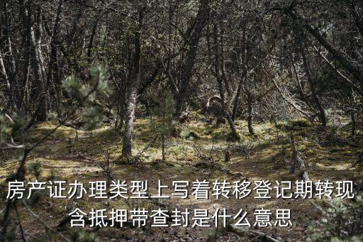 房產(chǎn)證辦理類型上寫(xiě)著轉(zhuǎn)移登記期轉(zhuǎn)現(xiàn)含抵押帶查封是什么意思