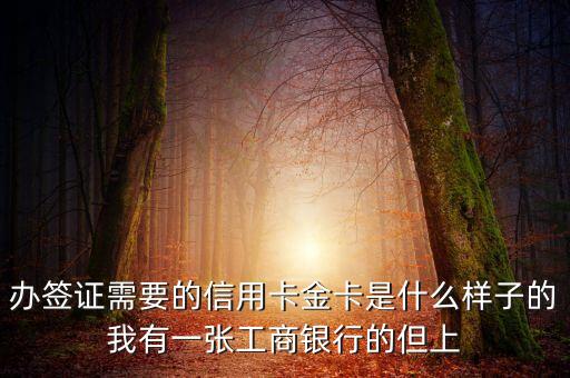 辦簽證需要的信用卡金卡是什么樣子的我有一張工商銀行的但上
