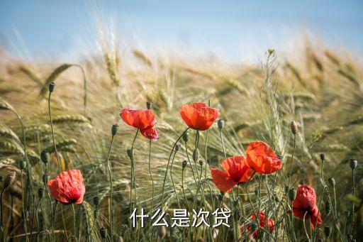 馬上金融6次貸是什么，什么是次貸
