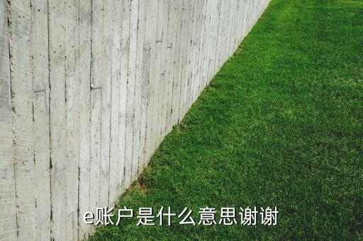 e賬戶是什么意思謝謝